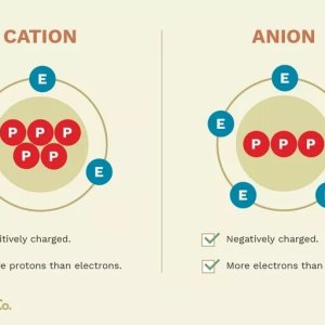 cation-and-an-anion-differences-606111-v2_preview-5b44daf9c9e77c0037679d52.jpg