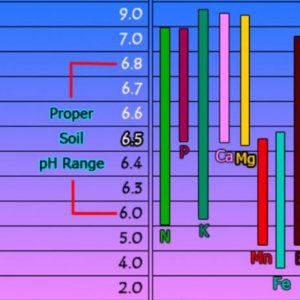 soil PH.JPG