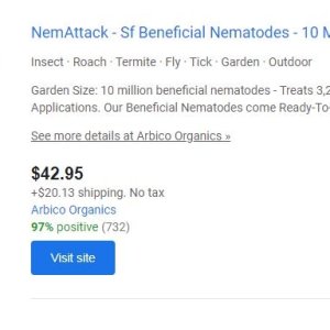 Nematodes.JPG