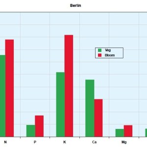 berlin plant analysis.JPG