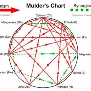 mulders-chart-e1465939603653 (1).jpg