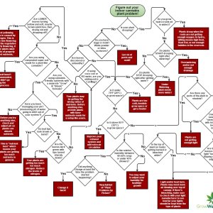 cannabis-plant-problem-flowchart.jpg