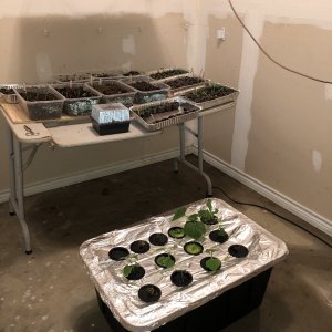 Grow room no light 003.jpg