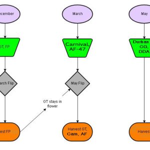 flowchart-2019-2020-rev1.jpg