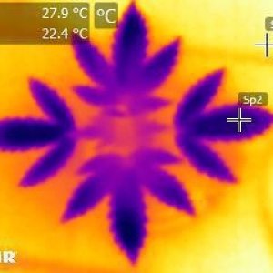 FLIR0160.jpg