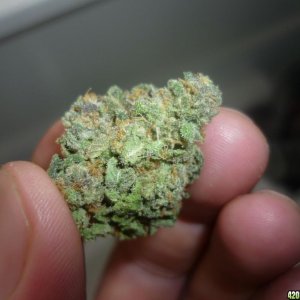 Kushberry_Close_Up1