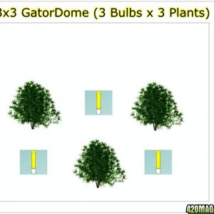 GatorDome 3x3