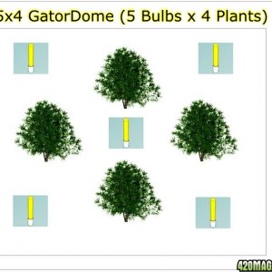 GatorDome 5x4