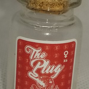 zup bottle.jpg