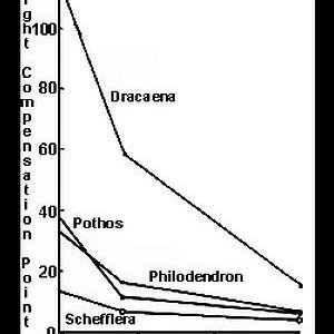 light-acclimatization_vs_time