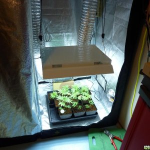 PPP & VK clones 09-15-10