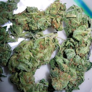 Blue Cheese