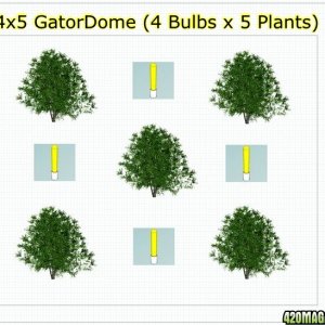 4x5 GatorDome