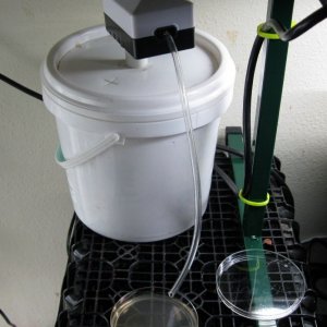 mold testing on mycellial co2 (co2 boost & ExHale)