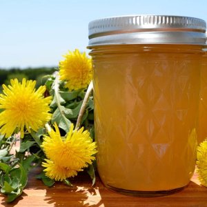 dandelion-jelly-recipe.jpg