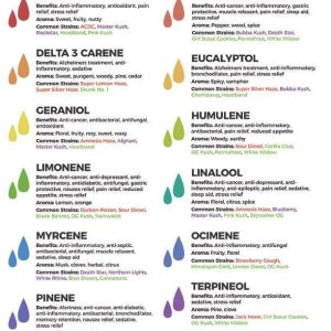 Terpene Chart.jpg