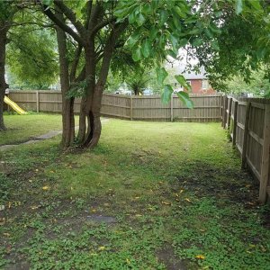 garden area.jpg