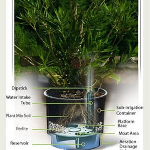 eco grow pots 2.jpg