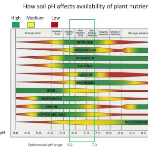 LawnNutrientChart.jpg