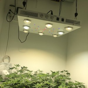 Optic 8+ Grow Light.jpg