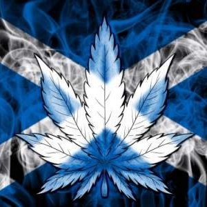 Cannabis-leaf-on-a-smoke-background-with-the-flag-of-Scotland-overlaying.jpg