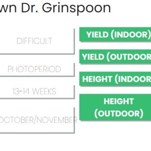 Dr. Grinspoon.JPG