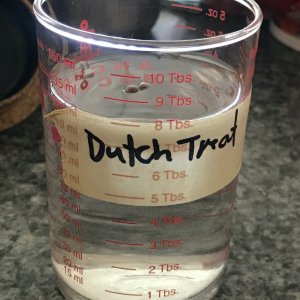 CB Dutch Treat Seed Glass.jpg