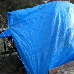 Woodsman Outdoors 10-3 Makeshift_tent_to_keep_the_plants_from_freezing