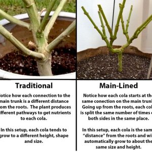 traditional-vs-main-lined-explanation-sm.jpg