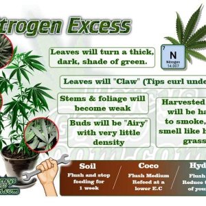 nitrogen-excess-in-a-cannabis-plant-e1555085534592.jpg