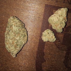 Buds; KushMints (Left) and Exotic (2Buds Right).jpg