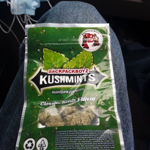 KushMints Bag.jpg