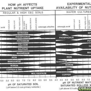 Nutrient_Uptake_and_pH.jpg