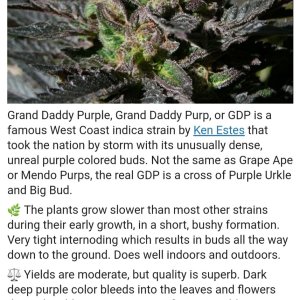 grand daddy purple.jpg