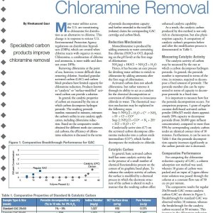 CatalyticCarbonPage1of2.jpg