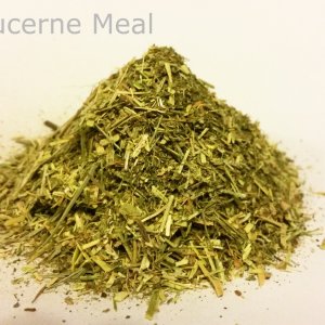 alfalfa-lucerne-meal.jpg