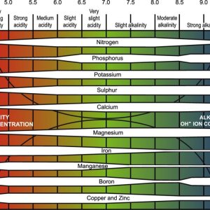 detailed-Truog-pH-chart-1024x717.jpg