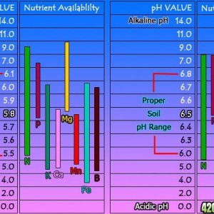 coreys_ph_chart.jpg.3063b9fceb9452e349fdf6d29d82714d.jpg