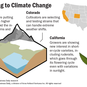 Weather-graphic-for-Barts-story.png