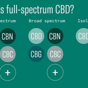 what-is-full-spectrum-cbd-explainer-4-1024x640.jpg