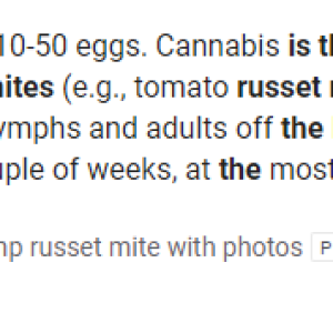 Hemp russet mites.PNG