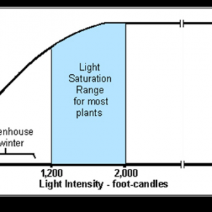 Dose Response Curve_Light Saturation in Plants