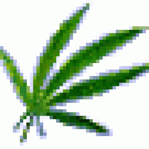 weed-4.gif