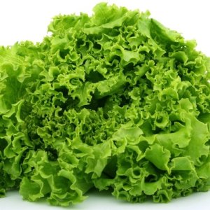 green-leaf-lettuce2.jpg