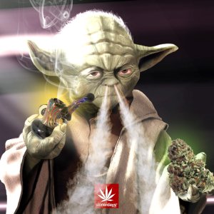 YODA-THE-FORCE.jpg