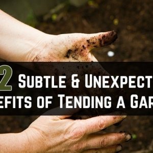 12-Subtle-Unexpected-Benefits-of-Tending-a-Garden.jpg