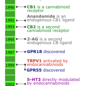 cannabinoid-receptor-discovery-timeline-1-512x1024.png