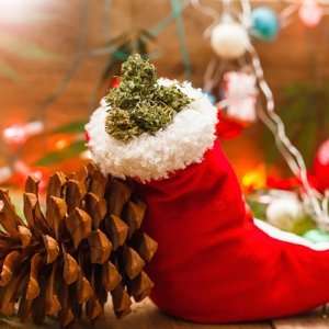 2%2Fmarijuana-christmas-stocking-nugs-shutterstock.jpg