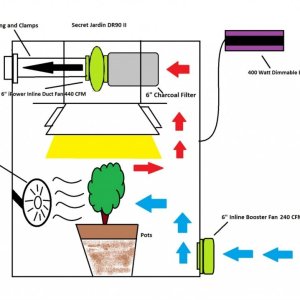 cannabis-growing-rooms1-1024x718.jpg