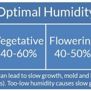 cannabis-humidity-chart.jpg